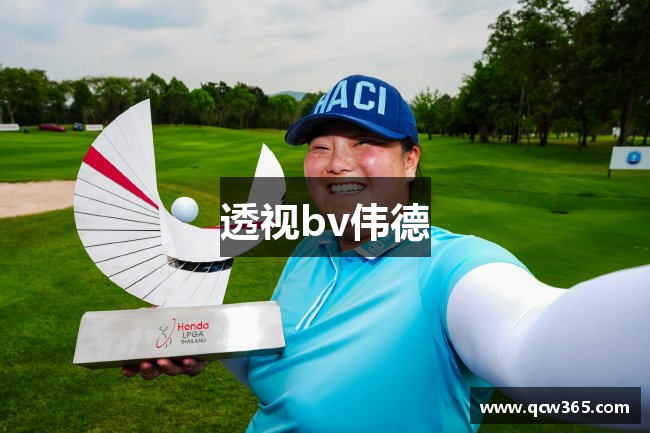透视bv伟德